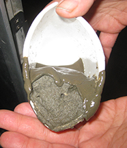 Beth Christentsen Research: A grab sample of sediment